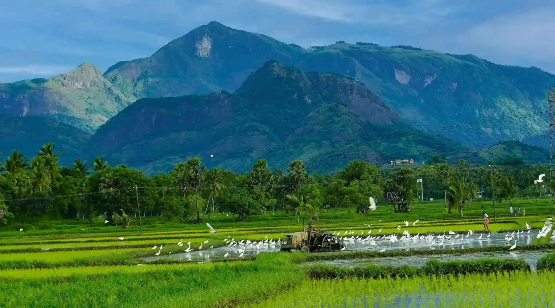 kerala-package